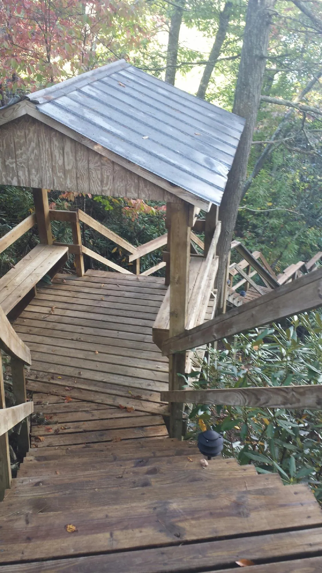 Metal roofed shelter over wooden steps on a wooded walkway — Skylight Repair & Installation work by our crew in Marcola